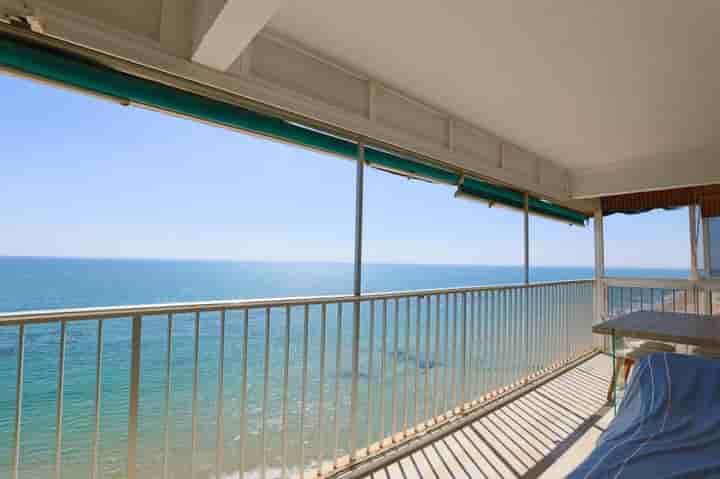 Apartment for rent in Arenales del Sol