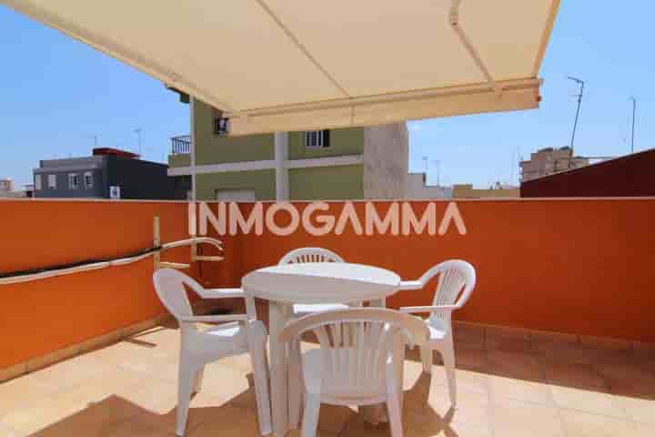 House for rent in Silla