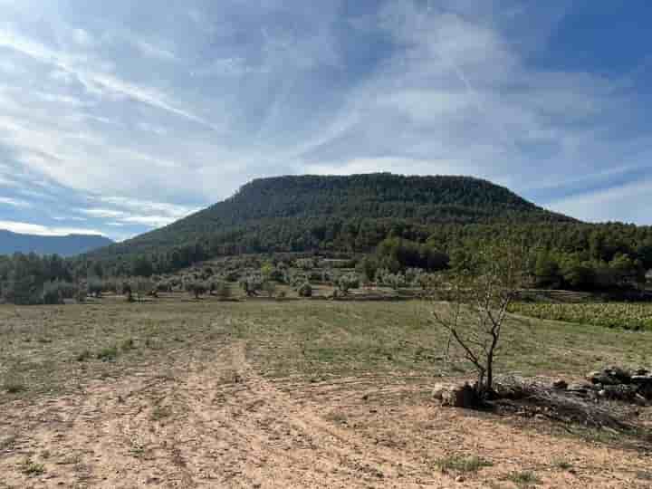 Casa en venta en Valderrobres