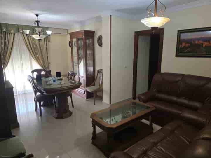 Apartment for rent in Almanjáyar