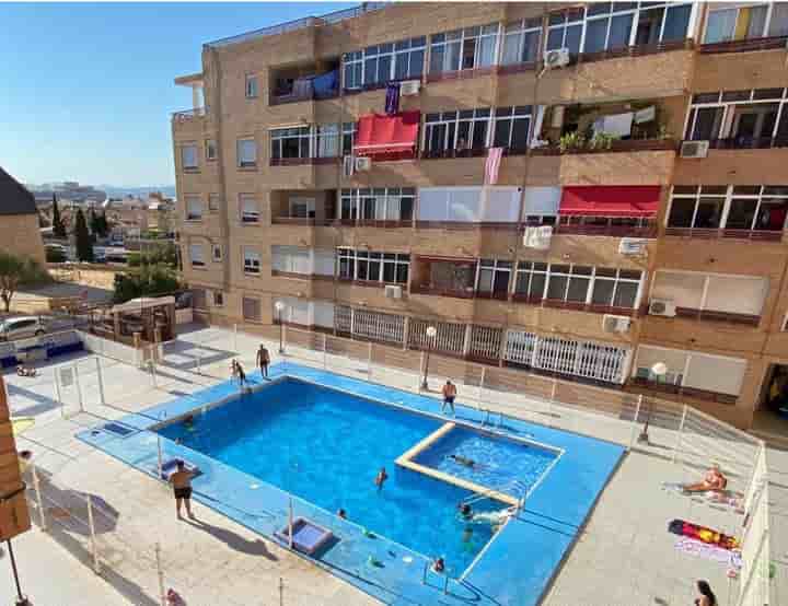 Apartamento en alquiler en El Molino