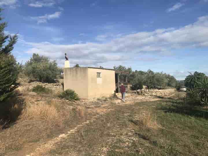 Maison à vendre à El Perelló