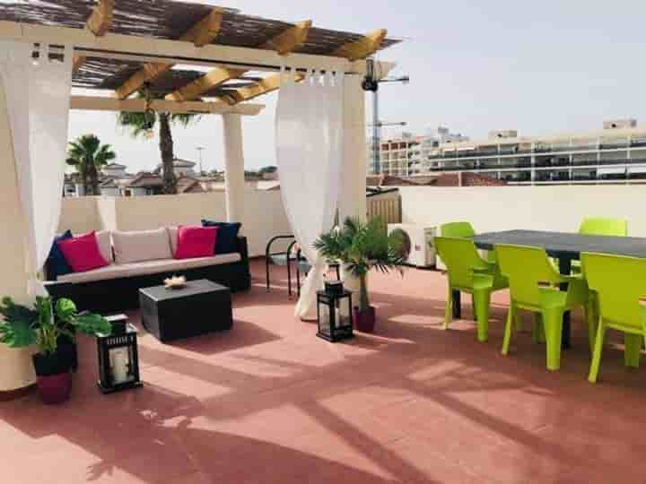 Apartment for rent in El Playazo