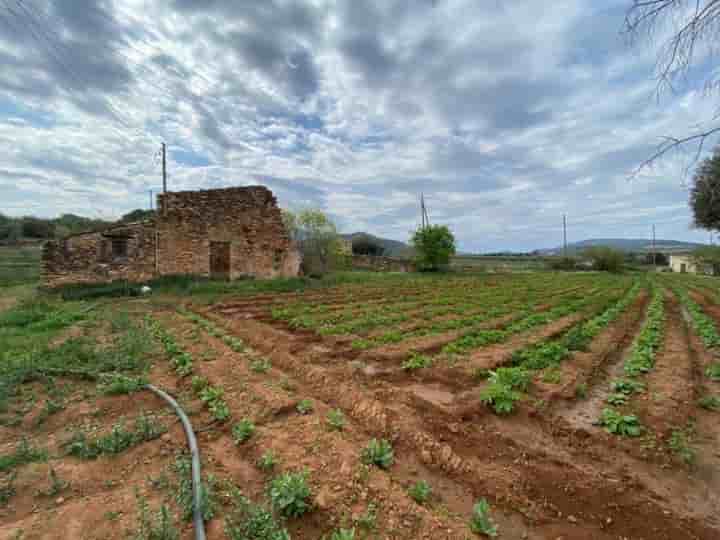 Casa para venda em Masdenverge