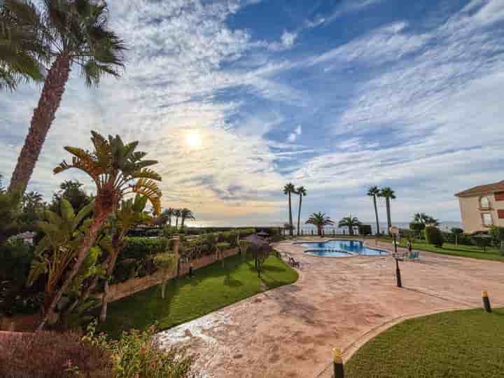 Appartement à louer à Aguamarina