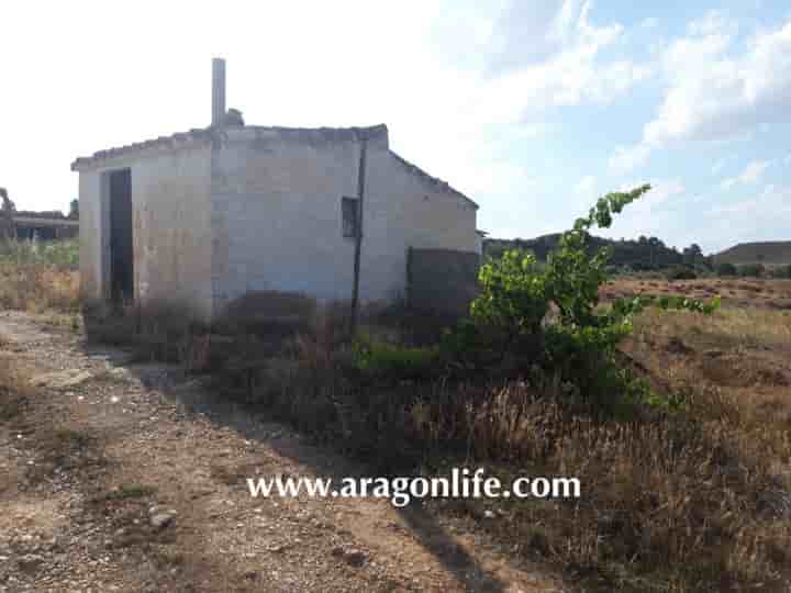 Maison à vendre à Fabara