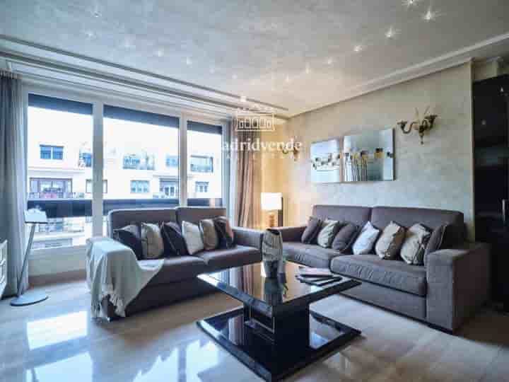 Apartment for rent in Goya