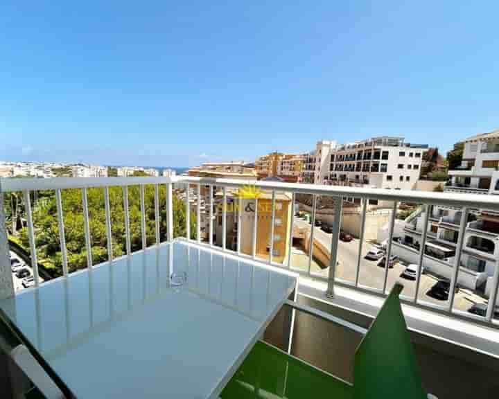 Apartment for rent in Campoamor