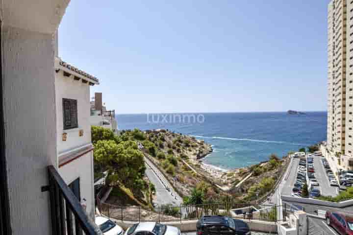 Wohnung zur Miete in Benidorm