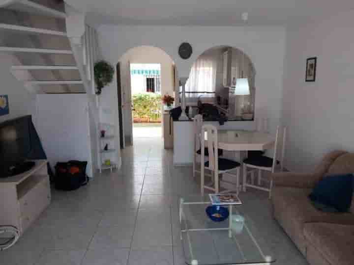 Apartment for rent in Centro Internacional