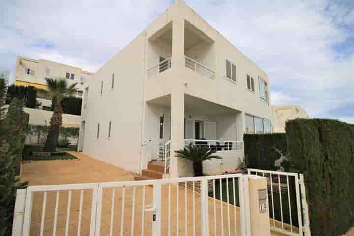 House for rent in Zona el Palmeral