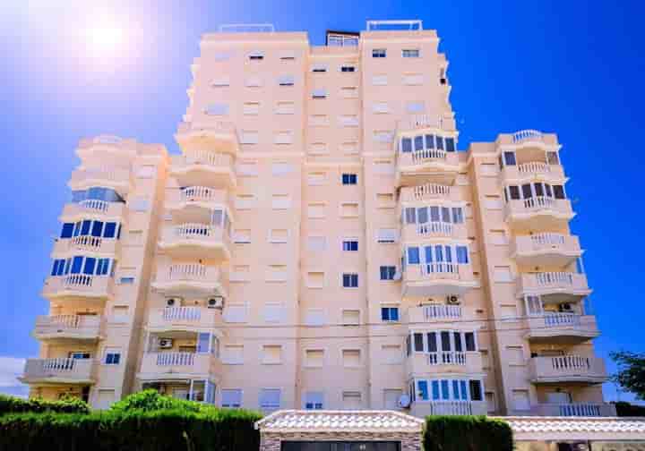 Apartamento para arrendar em Torrevieja