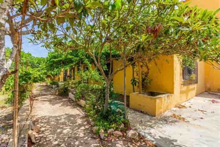 Casa en venta en Los Montesinos