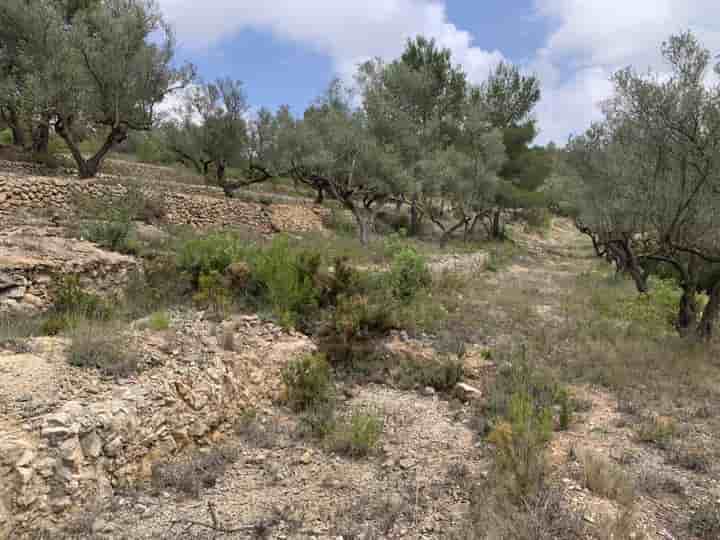 Casa para venda em El Perelló