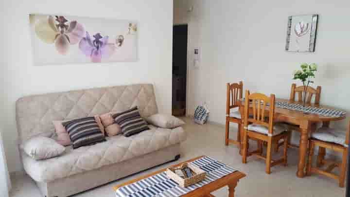 Apartamento en alquiler en Parque de la Paloma