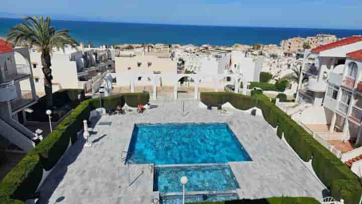 Apartment for rent in Torrevieja