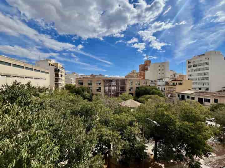 Apartamento en alquiler en Sta Catalina - El Jonquet