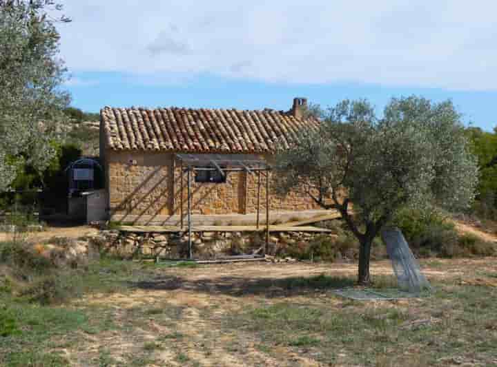 Maison à vendre à Maella