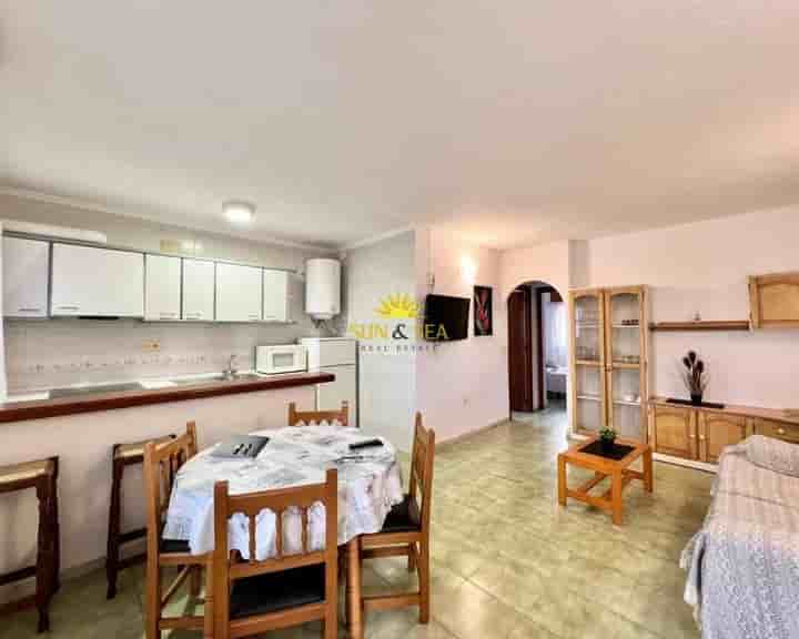 Apartment for rent in Los Europeos