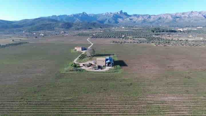 Casa en venta en El Perelló