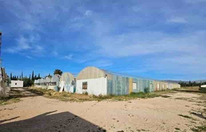 Casa para venda em LAmpolla