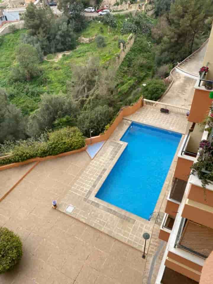 Apartment for rent in El Terreno