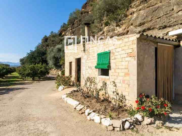 Maison à vendre à Benifallet