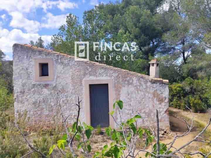 Casa en venta en El Perelló