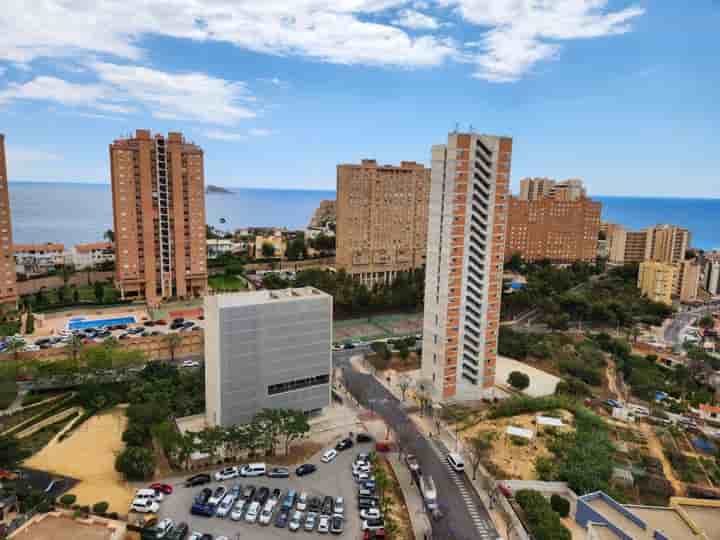 Apartment for rent in Benidorm