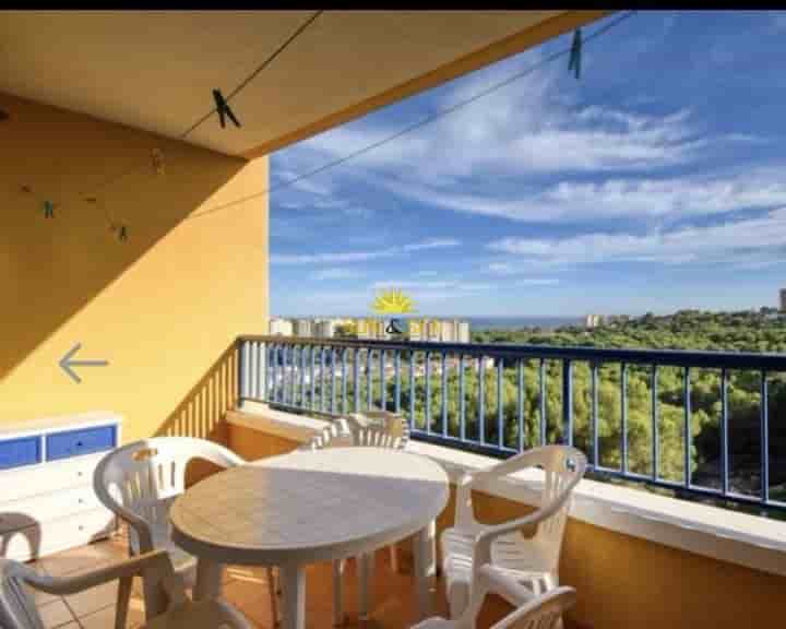 Apartamento en alquiler en Campoamor