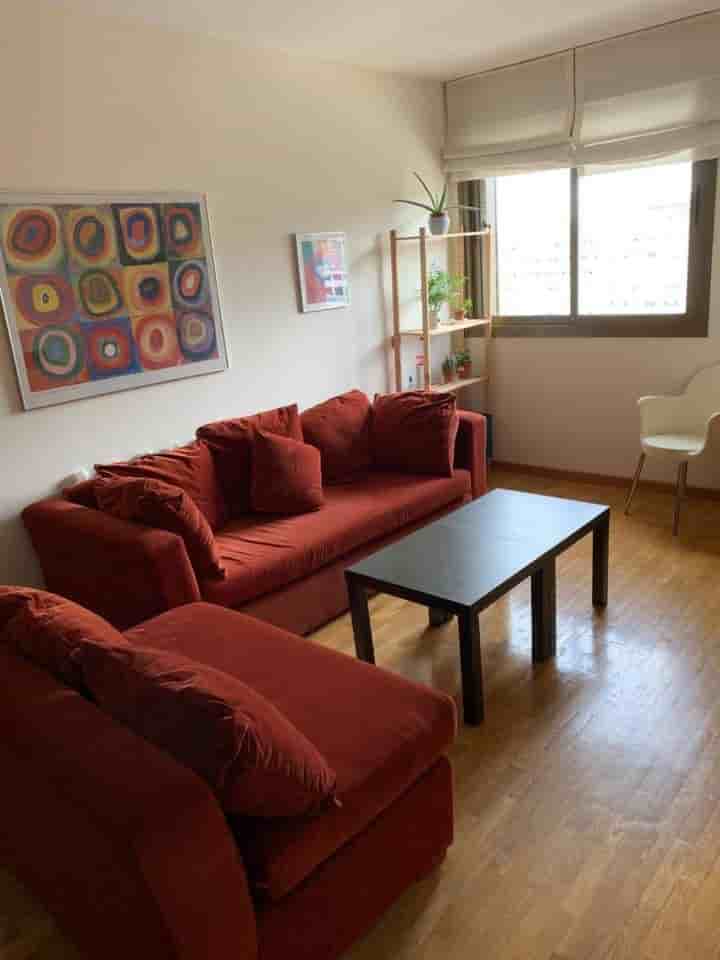 Appartement à louer à Plaza de Toros-Doctores-San Lázaro