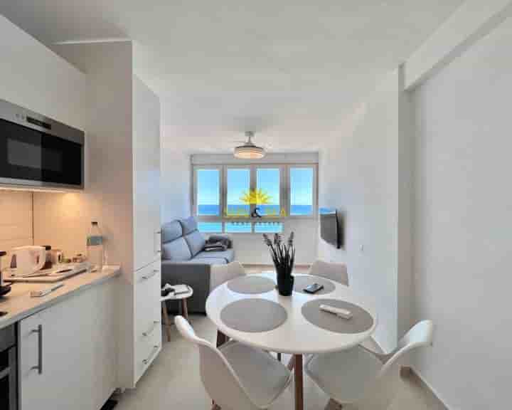 Apartment for rent in Cabo Cervera