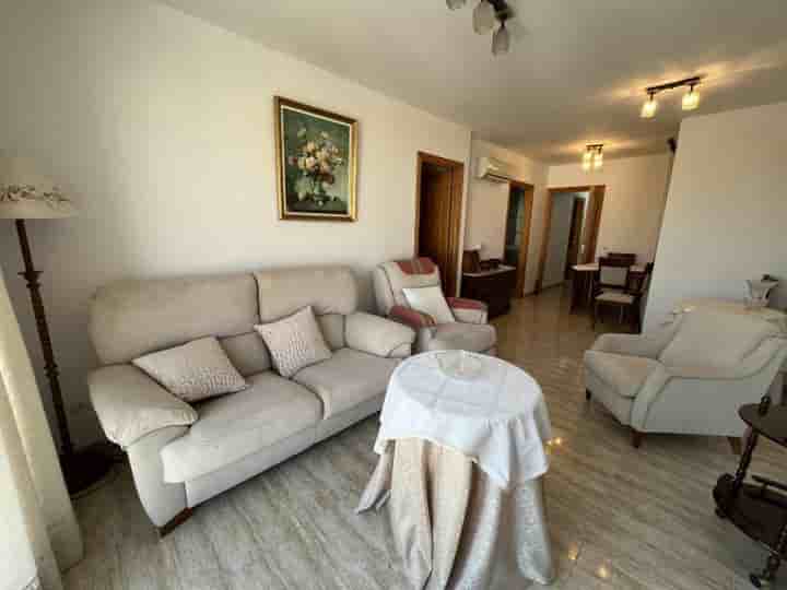 Apartment for rent in Muro