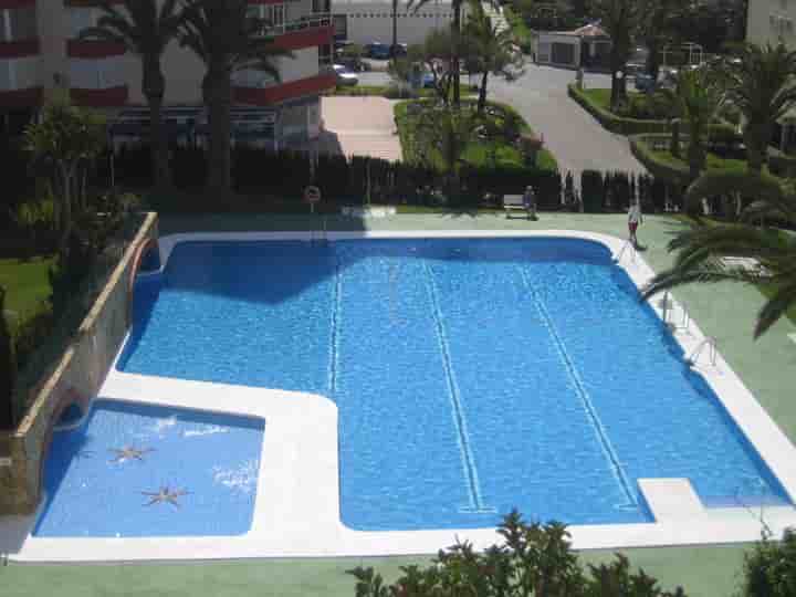 Apartment for rent in Torrox Costa