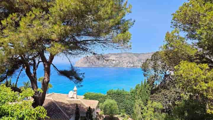 Maison à louer à Punta La Mona