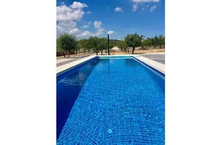 House for sale in Pinoso