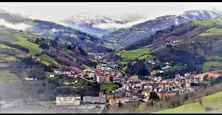 Haus zum Verkauf in Cangas del Narcea