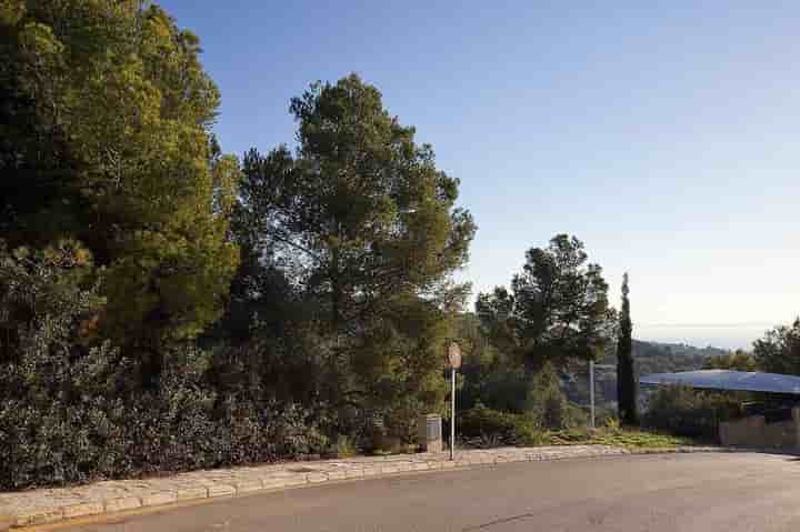 Maison à vendre à Costa dEn Blanes