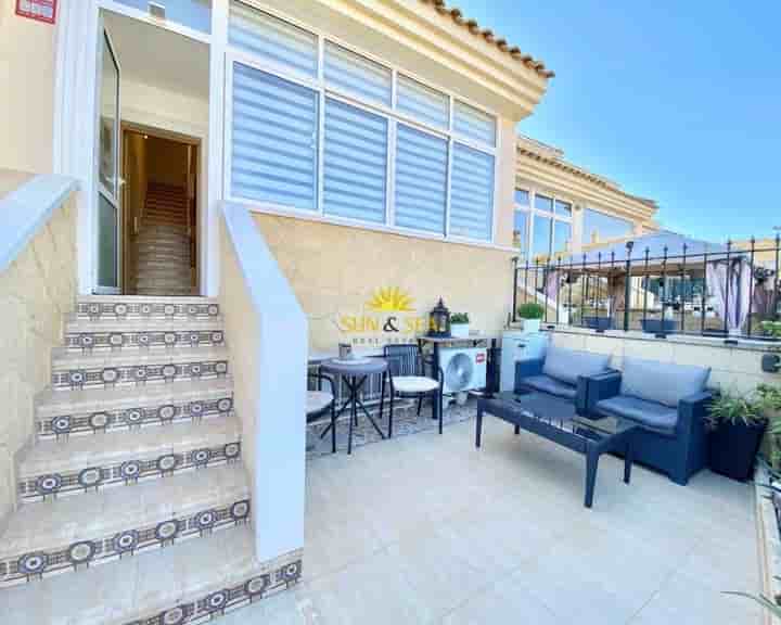 House for rent in Punta Prima