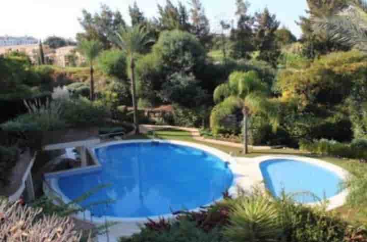 Apartment for rent in Riviera del Sol