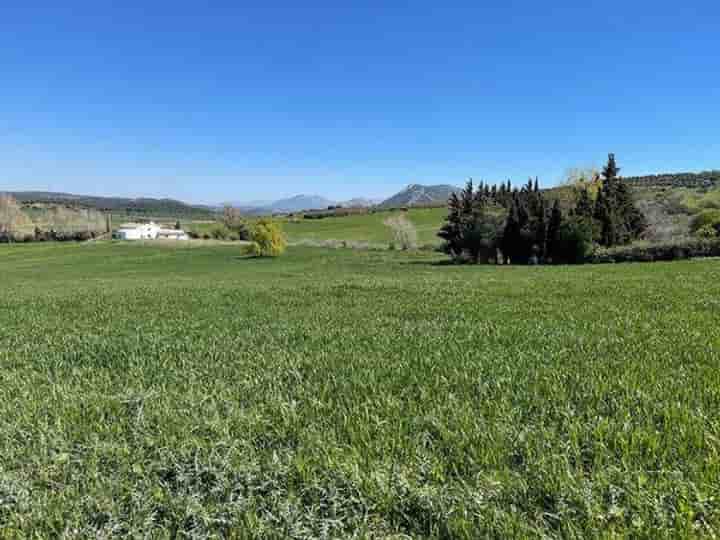 Maison à vendre à Antequera