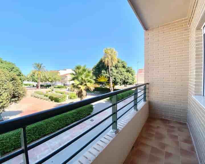 Apartment for rent in Catral