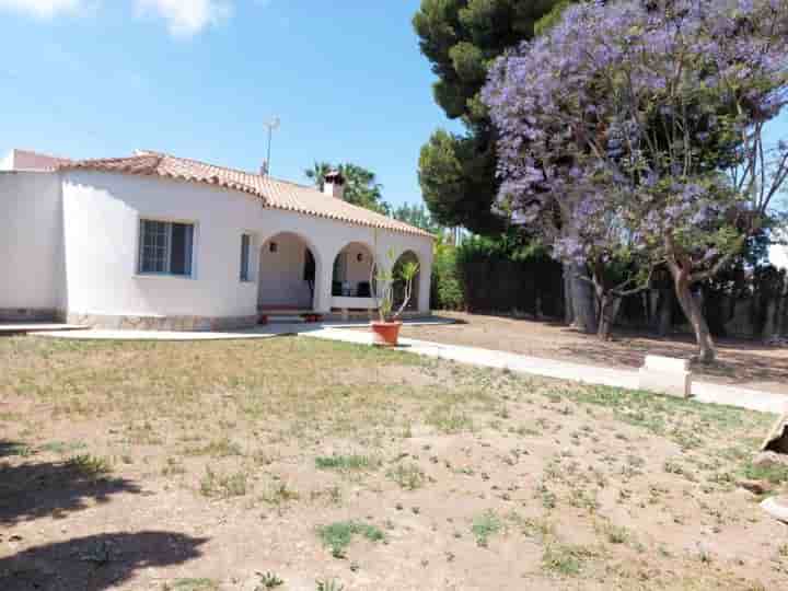 Casa para venda em Almajada-Ravel