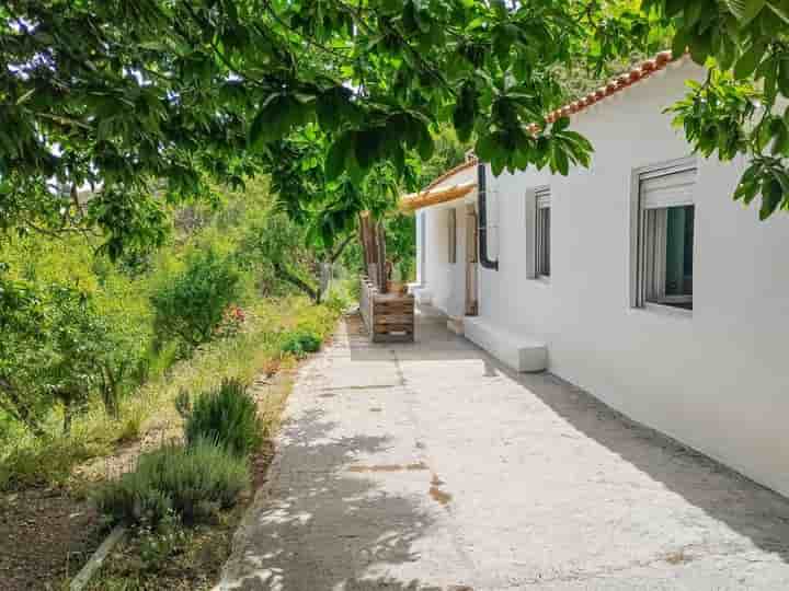 Maison à vendre à Molvízar