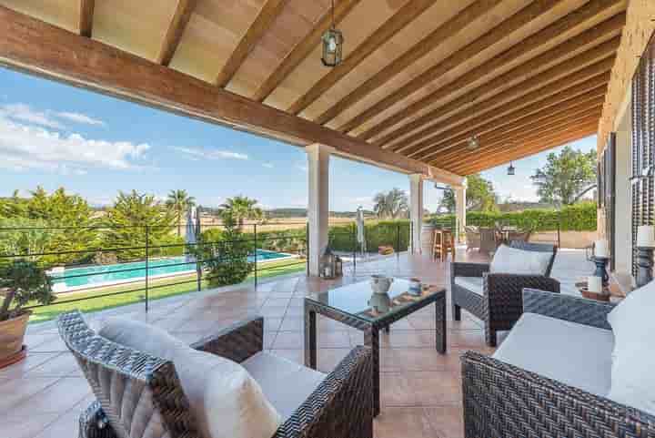 House for sale in Sineu