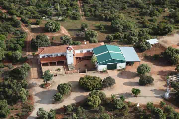 Casa para venda em Ossa de Montiel