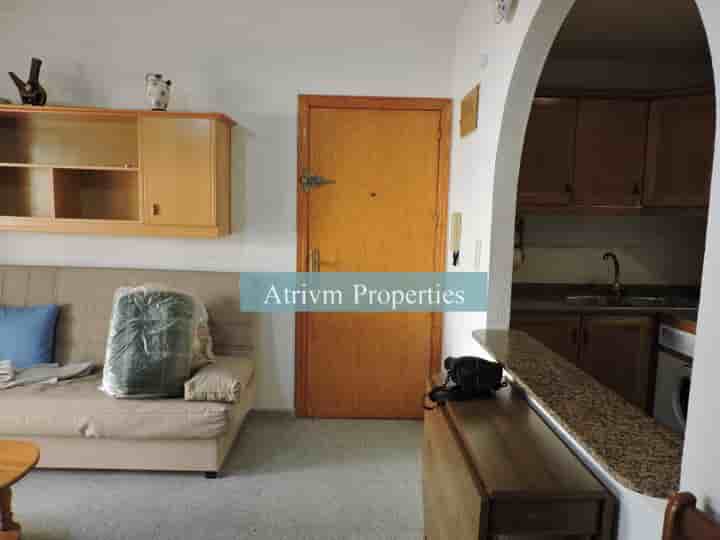 Apartamento en alquiler en Guardamar del Segura