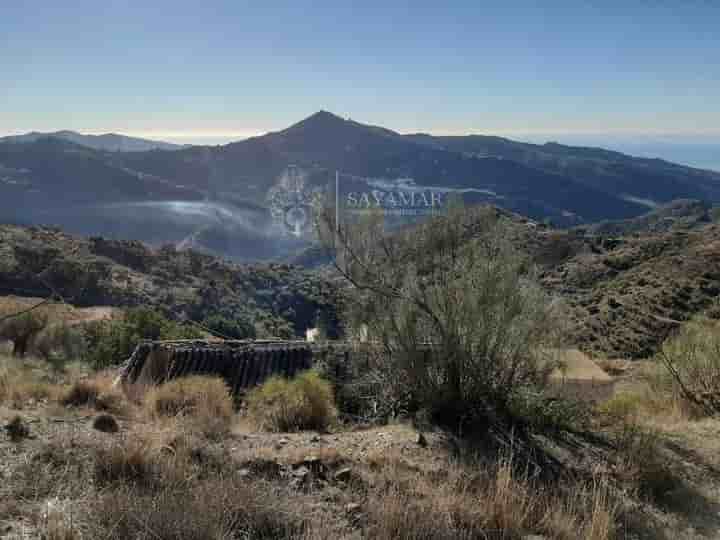 Casa en venta en Sayalonga