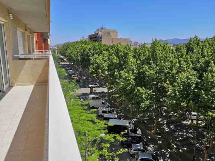 Apartamento en alquiler en Oliva pueblo