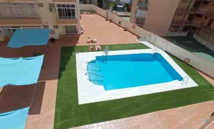 Apartment for rent in Centro